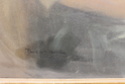 Huile sur toile Chevalière signature à déchiffrer David lim Chagohee ? Img_0512