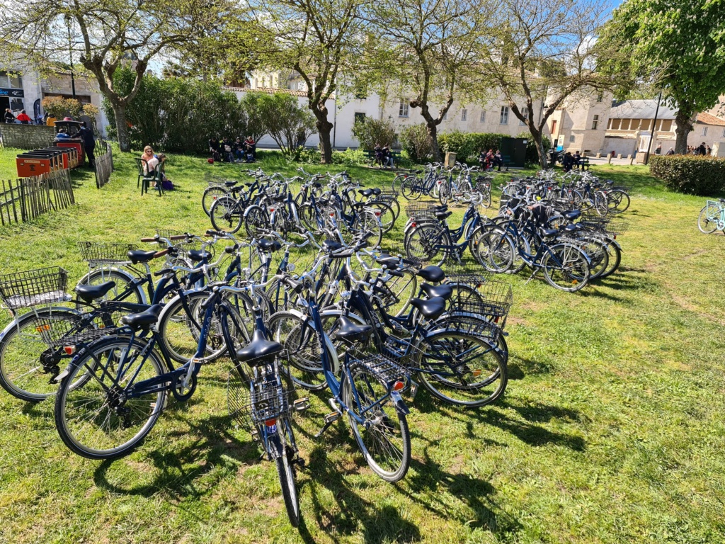 Voyage à l'île de Ré 20240445