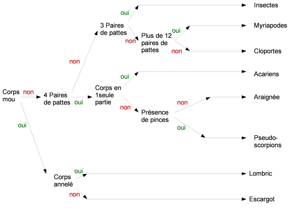 Chapitre 3 La décomposition de la matière organique Cle_de10