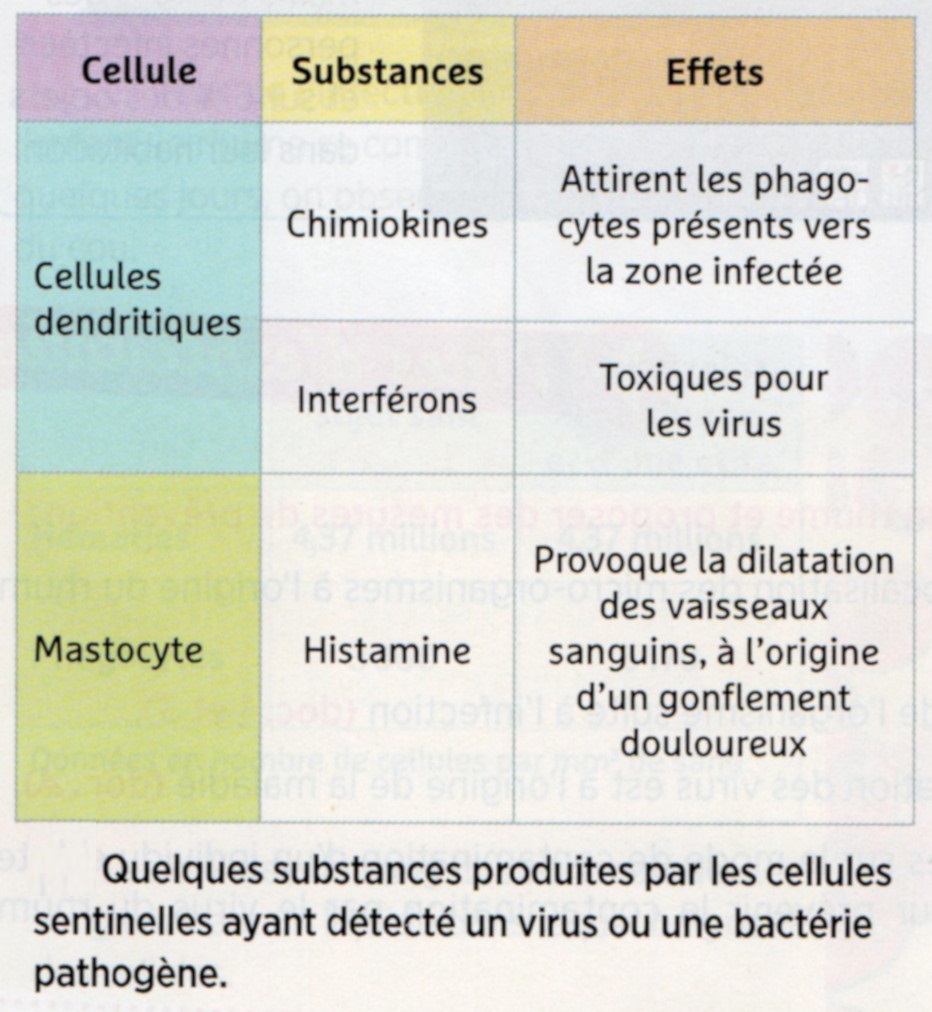 Chapitre 3 Lutter contre les risques infectieux Detect10