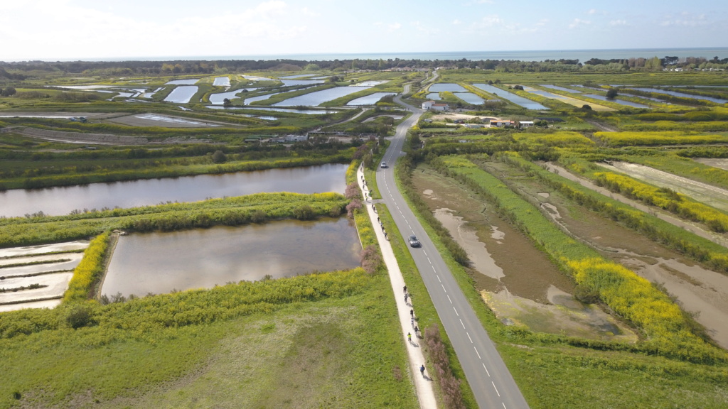 Voyage à l'île de Ré Dji_0027