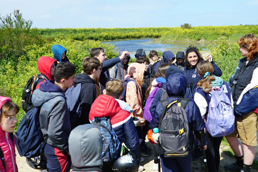 Voyage à l'île de Ré Tom03444