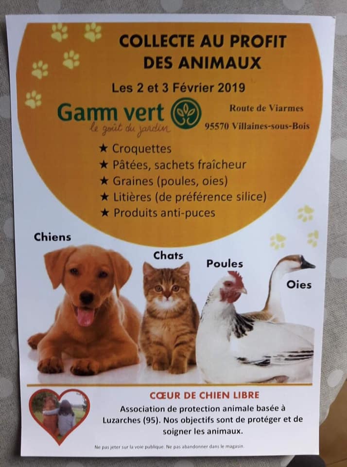 Nouvelles de l'association :  COEUR DE CHIEN LIBRE - Page 20 50795510