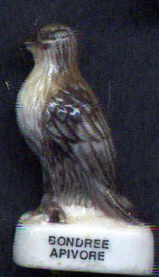 Oiseaux WWF 2005 199311