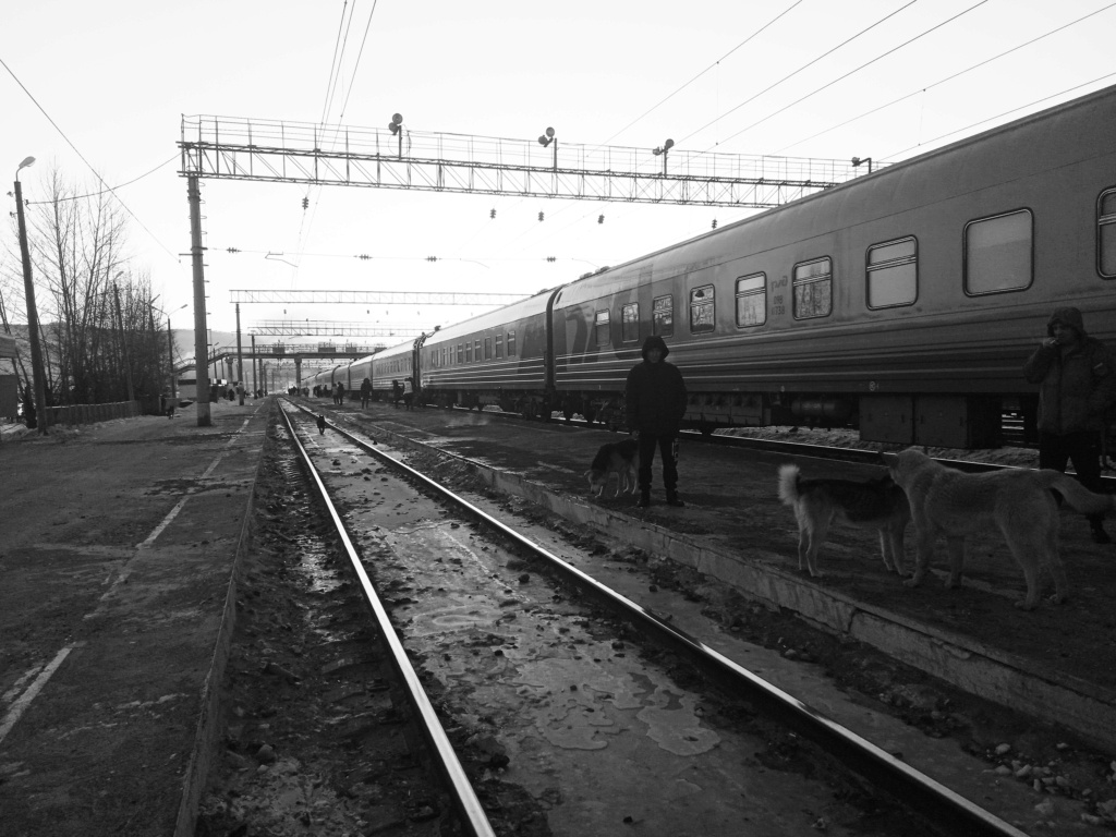 EL TOPIC DEL VIAJERO - Página 19 Img_2276