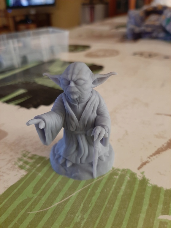 Maitre Yoda  20210419