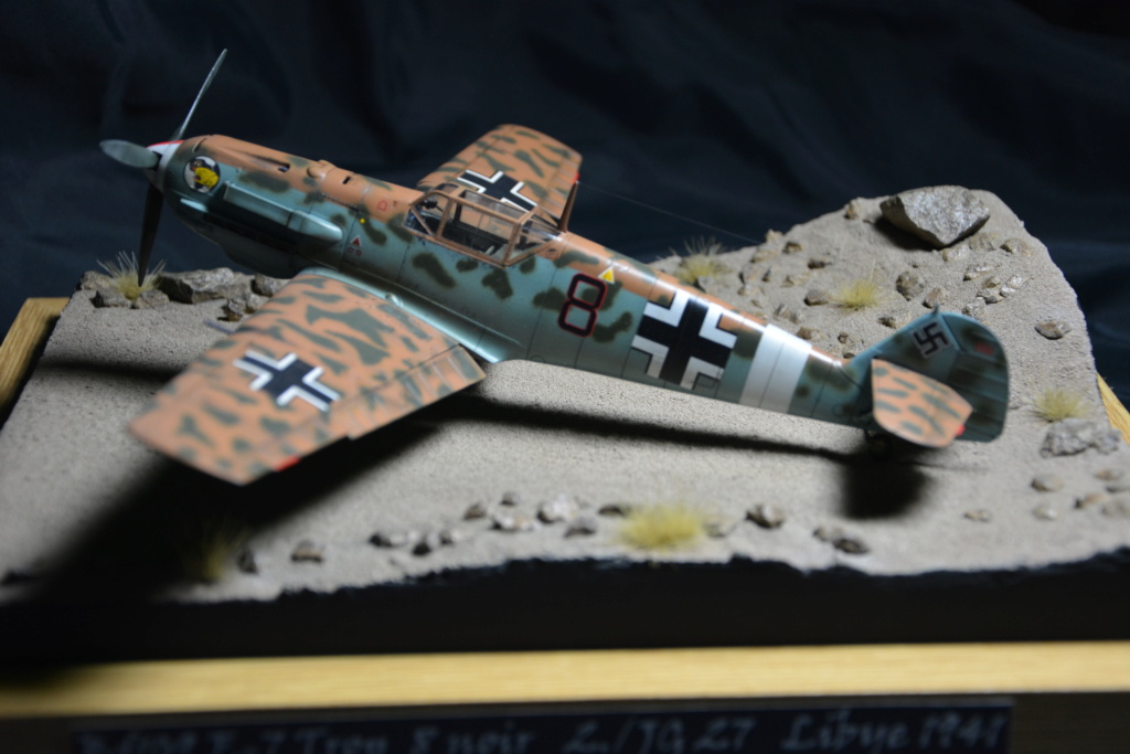 Bf109 E4/7 Trop 1/48 éduard Dsc_0169