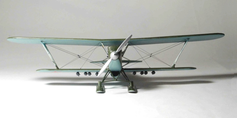   [Azur-Special Hobby]  Polikarpov RZ ou plutôt Markov et Skarbov Rz-2310