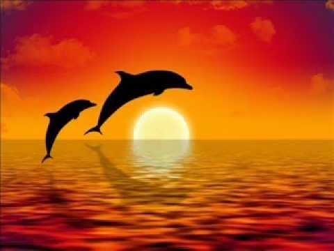 настройка рейки дельфинов