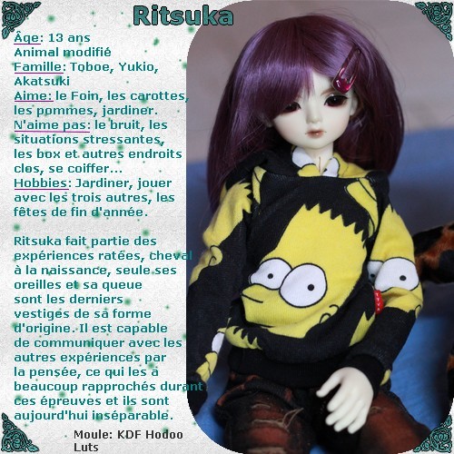 [Usagi's dolls] Death et Akira Ritsuk10