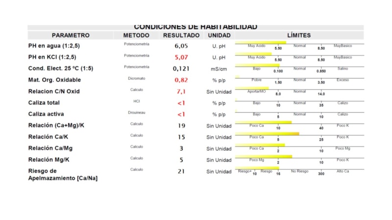 Análisis de suelo - consulta de encalado Campo de Calatrava (Ciudad Real) Diapos14