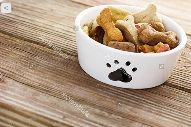 Địa chỉ bán thức ăn cho chó mèo uy tín 2019-012