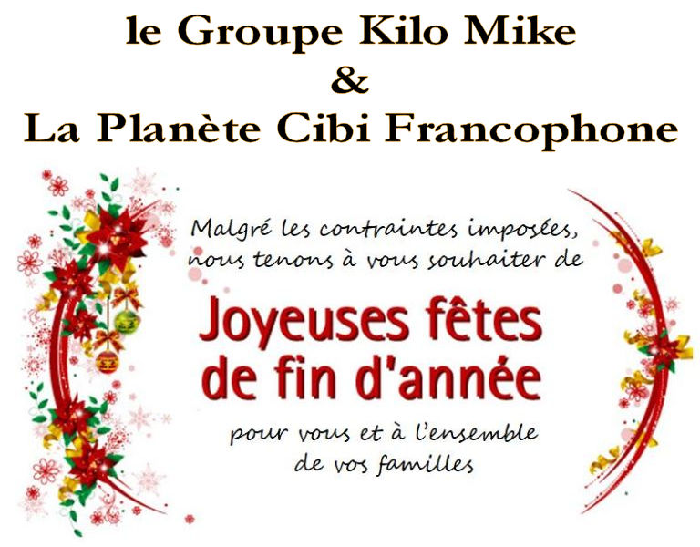 Bon Noël et bonne fête de fin d'année 2021 de la part de: 'La Planète Cibi Francophone' Nouvel12