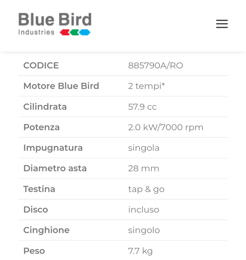 Pareri nuovo Bluebird 60cc Screen38