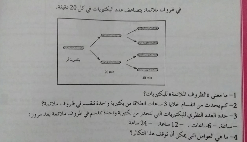 تمرين داعمة المناعة الطبيعية والنوعية Whats265