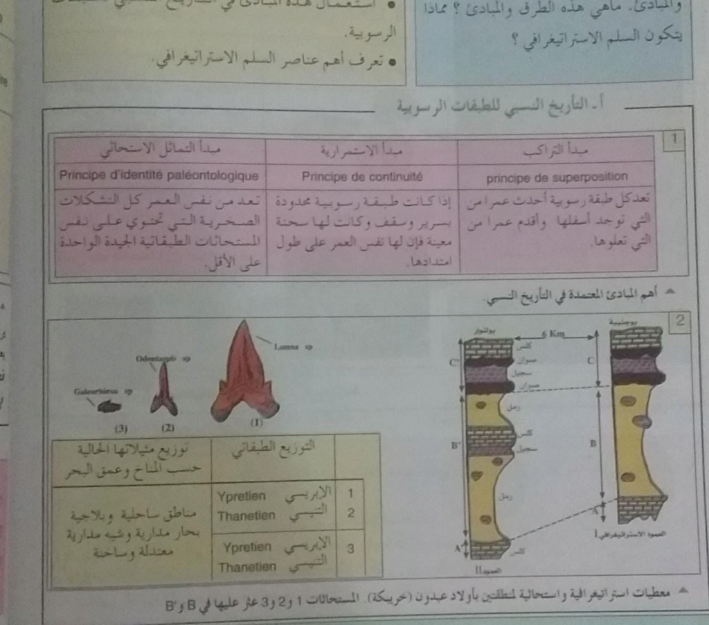 الاستحاتة والمستحاثات  الاهمية الجيولوجية للمستحاثات(تتمة) Whats744