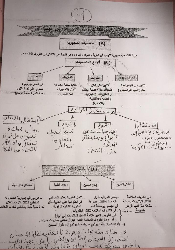 خلاصة لدرس المتعضيات المجهرية Whatsa40