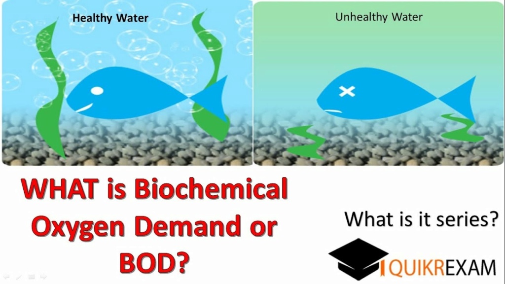 الدرس الثاني: الآثار السلبية للمياه العادمة Bod10