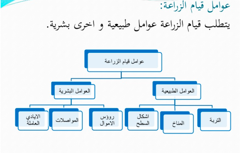 الدرس الخامس: مشكلة الغذاء في الوطن العربي Iaa_ao10