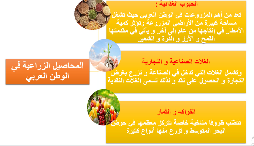 الدرس الخامس: مشكلة الغذاء في الوطن العربي O_410