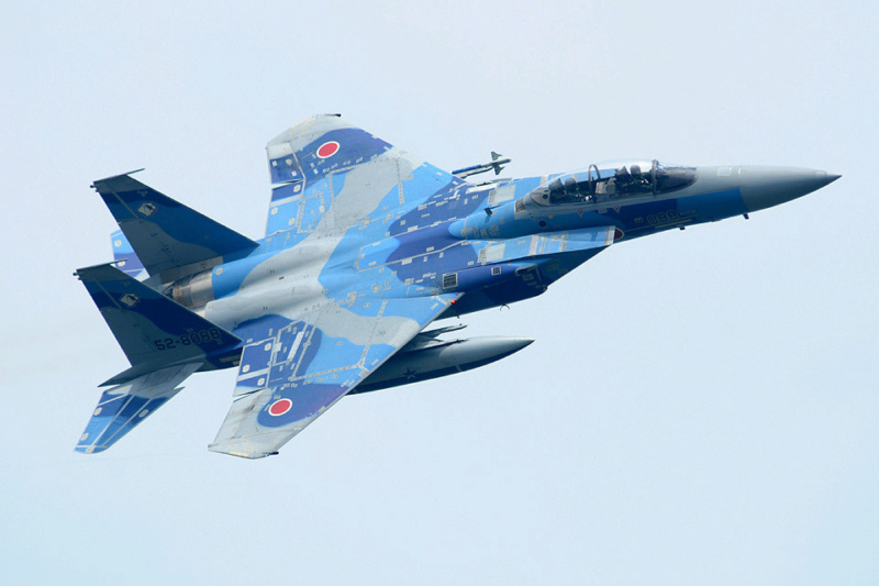 [Hasegawa] F-15J Aggressor 1---FINI - Page 2 50-80810