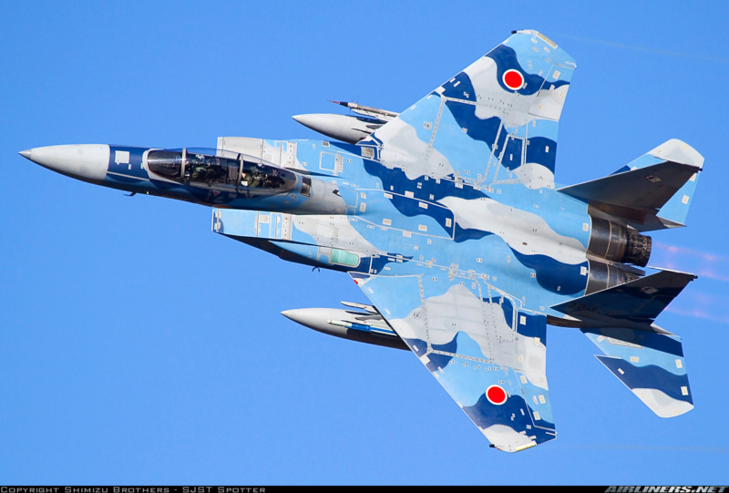 [Hasegawa] F-15J Aggressor 1---FINI - Page 2 52-80819