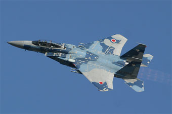 [Hasegawa] F-15J Aggressor 1---FINI - Page 3 52-80820