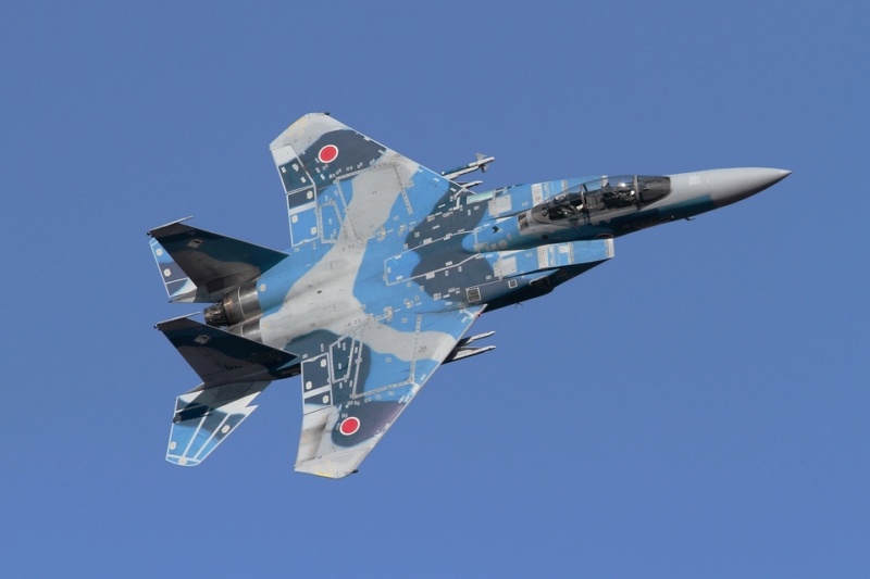 [Hasegawa] F-15J Aggressor 1---FINI - Page 3 52-80825