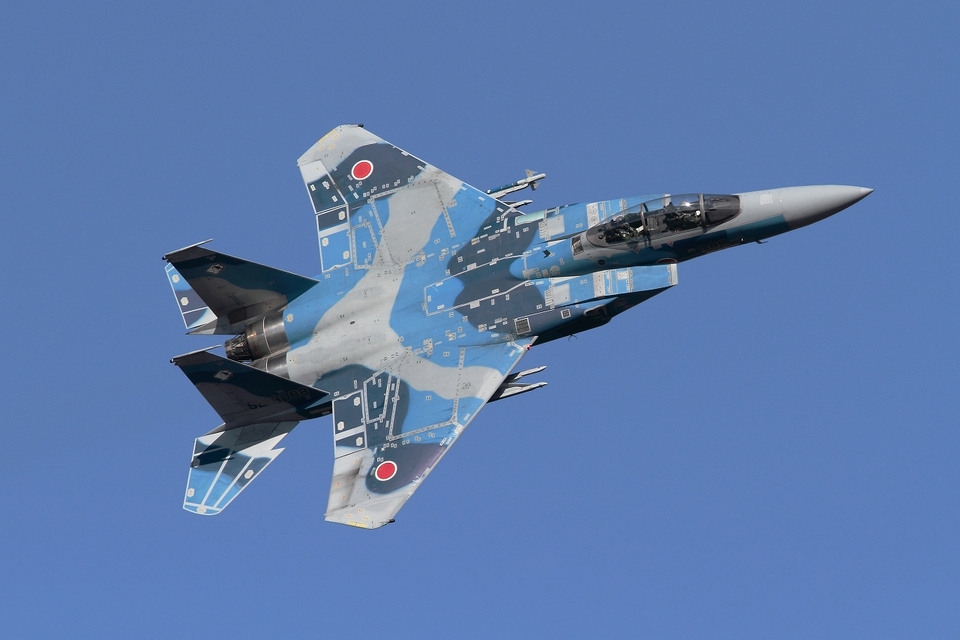  F-15J (1/72 - Hobby Craft) + F-15 (1/72 - Hasegawa) 52-80829