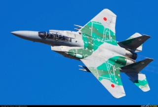  F-15J (1/72 - Hobby Craft) + F-15 (1/72 - Hasegawa) 82-80910