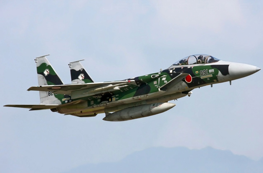  F-15J (1/72 - Hobby Craft) + F-15 (1/72 - Hasegawa) 82-80920