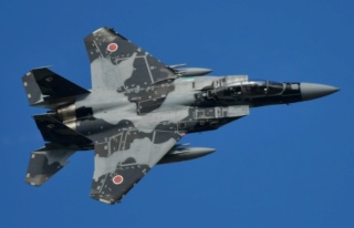  F-15J (1/72 - Hobby Craft) + F-15 (1/72 - Hasegawa) 92-80710