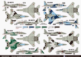  F-15J (1/72 - Hobby Craft) + F-15 (1/72 - Hasegawa) Dxm_5110