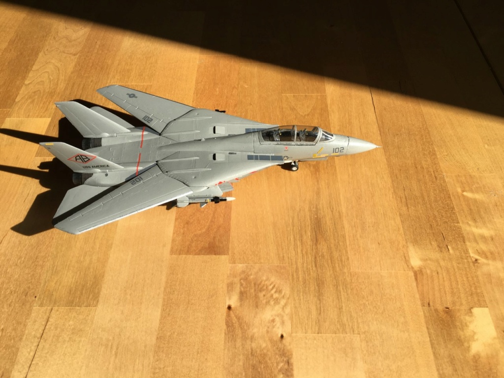 [ESCI] F-14 Tomcat Plus  Img_2057