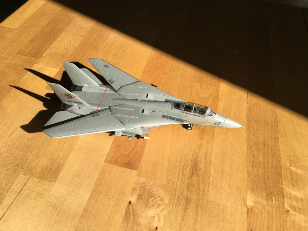 [ESCI] F-14 Tomcat Plus  Img_2059