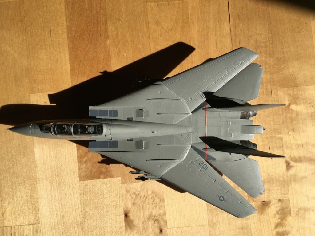 [ESCI] F-14 Tomcat Plus  Img_2062