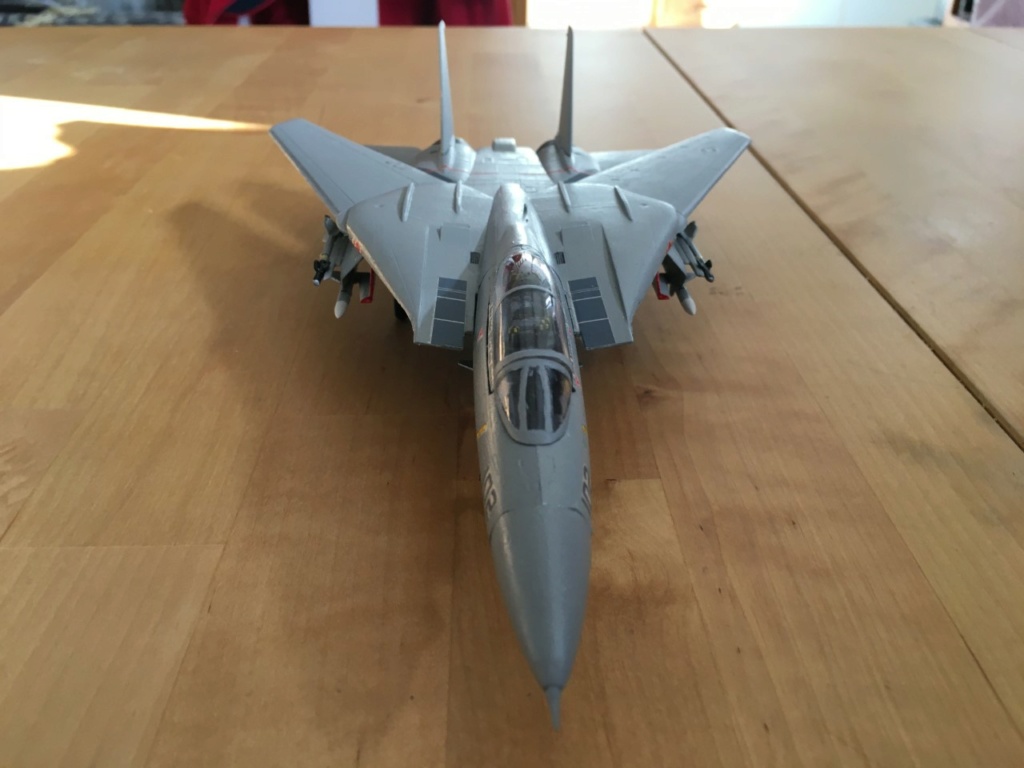 [ESCI] F-14 Tomcat Plus  Img_2065