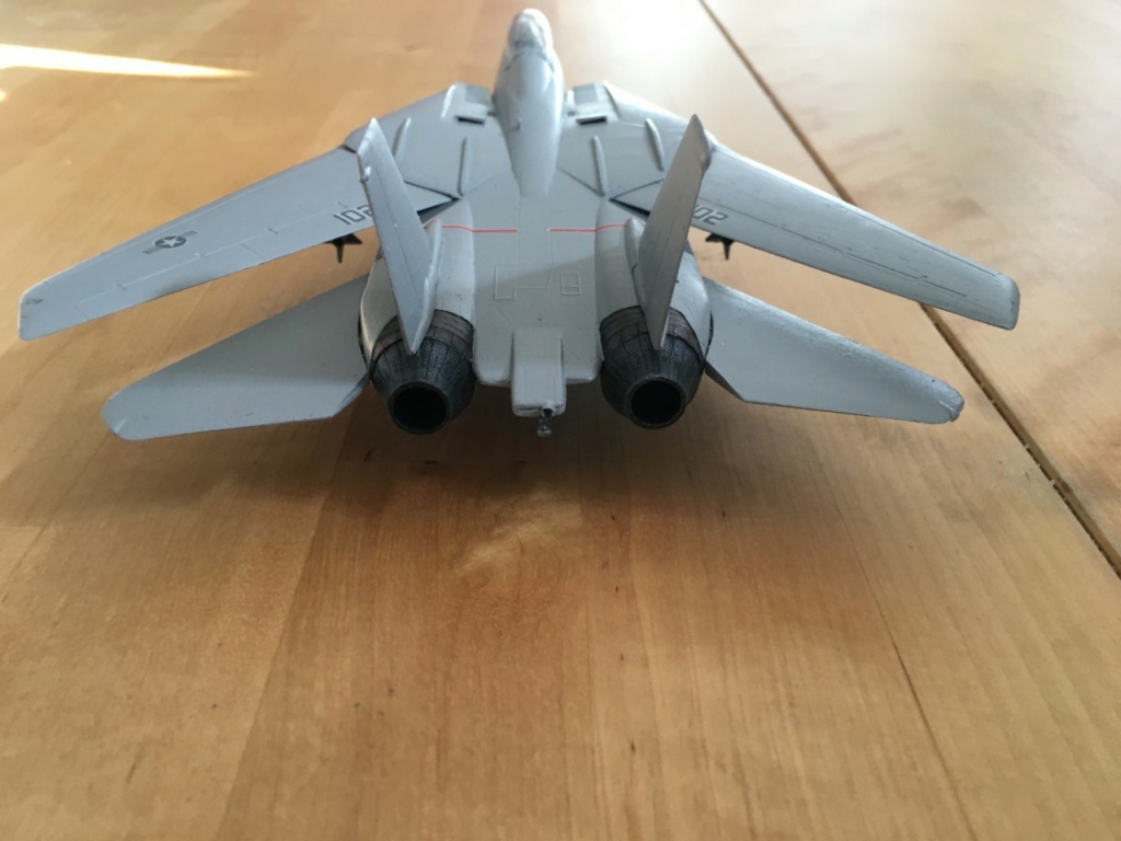 [ESCI] F-14 Tomcat Plus  Img_2068