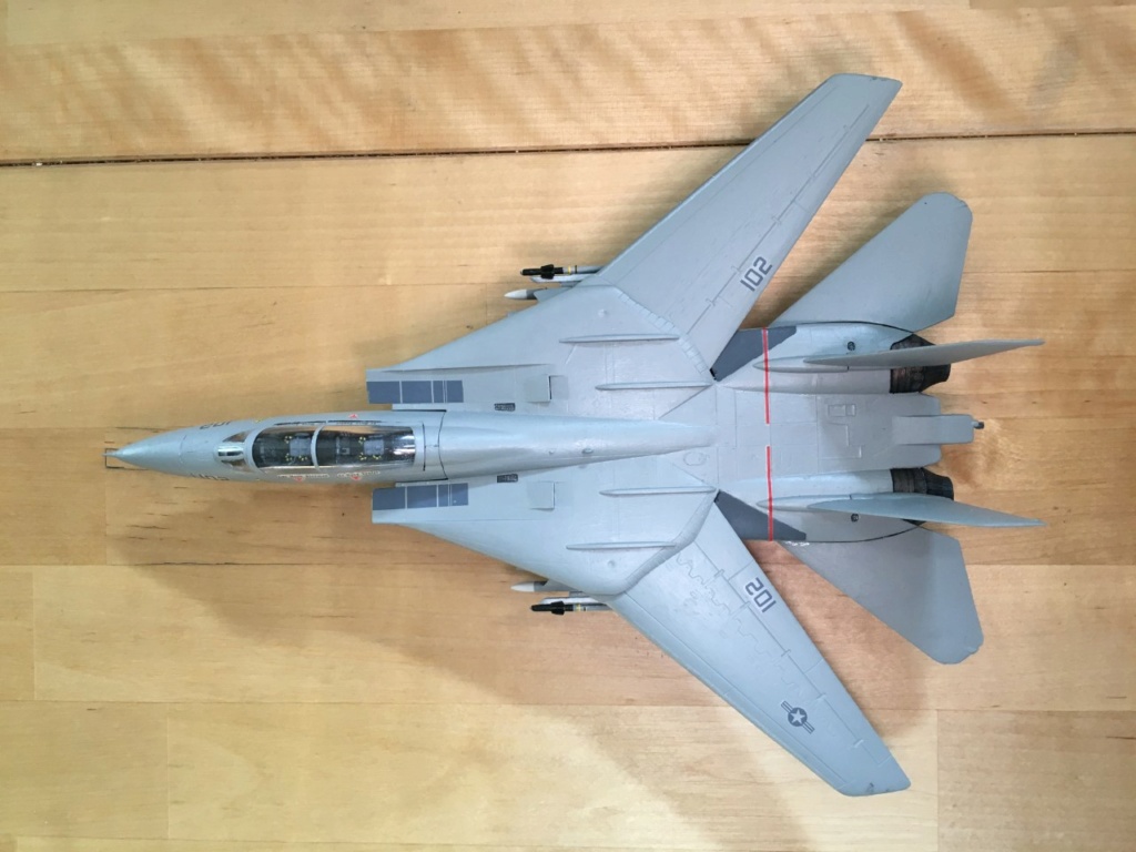 [ESCI] F-14 Tomcat Plus  Img_2069