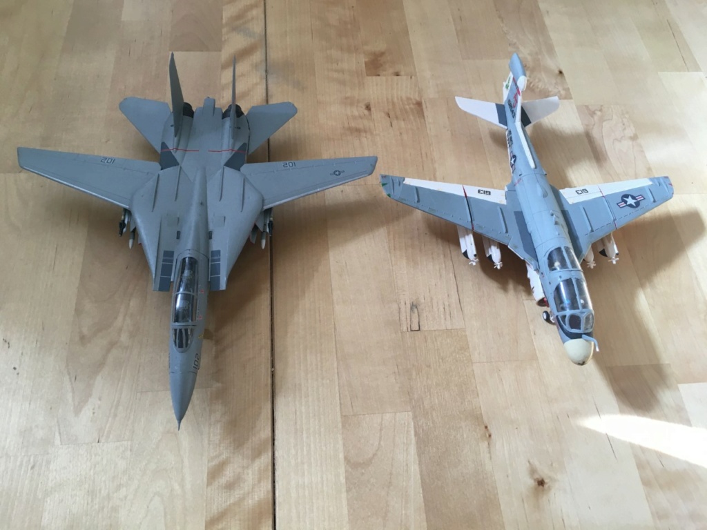  [ESCI]  F-14A Tomcat Plus Img_2078