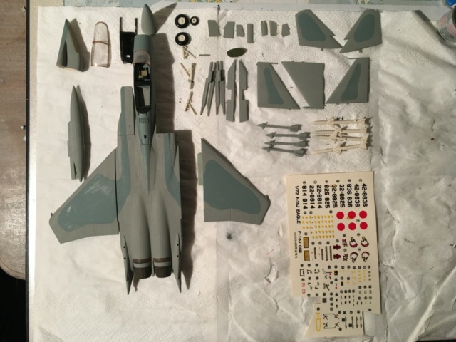  F-15J (1/72 - Hobby Craft) + F-15 (1/72 - Hasegawa) Img_2141