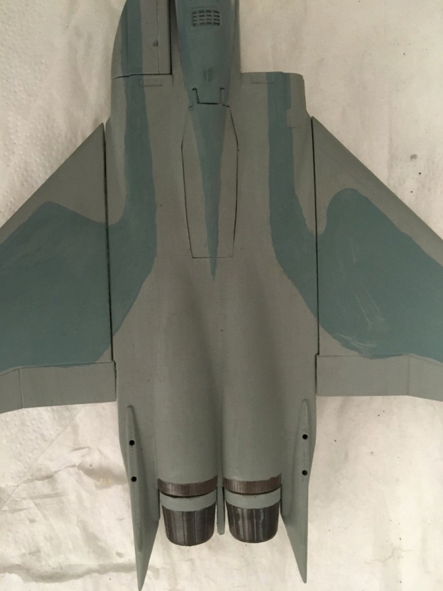 [Hobby Craft] F-15J Aggressor 2---FINI Img_2172