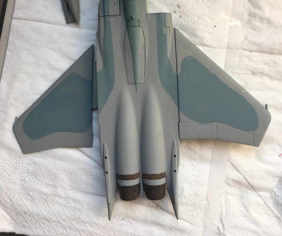  F-15J (1/72 - Hobby Craft) + F-15 (1/72 - Hasegawa) Img_2184