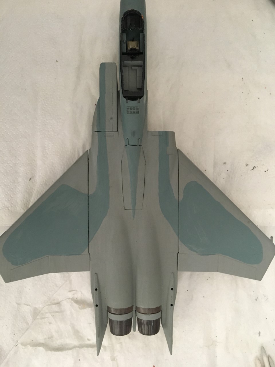  F-15J (1/72 - Hobby Craft) + F-15 (1/72 - Hasegawa) Img_2190