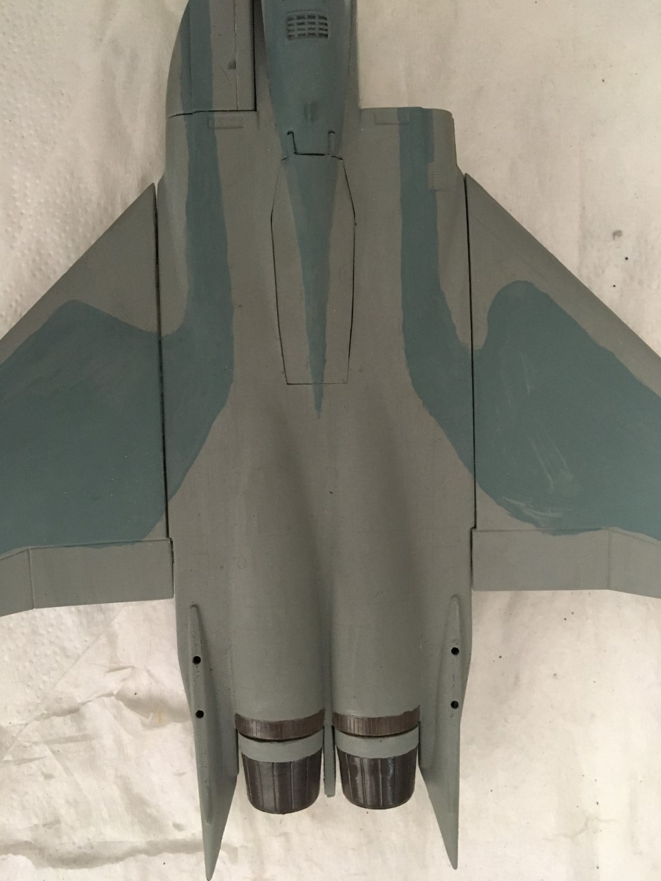  F-15J (1/72 - Hobby Craft) + F-15 (1/72 - Hasegawa) Img_2191