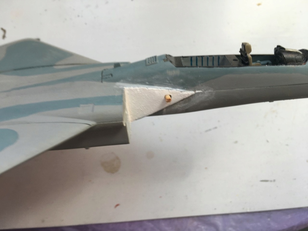  F-15J (1/72 - Hobby Craft) + F-15 (1/72 - Hasegawa) Img_2193