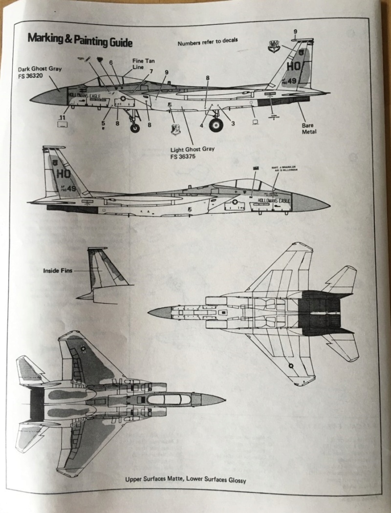 [Hasegawa] F-15J Aggressor 1---FINI Img_2267