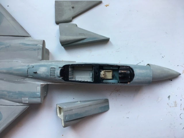 [Hobby Craft] F-15J Aggressor 2---FINI Img_2281