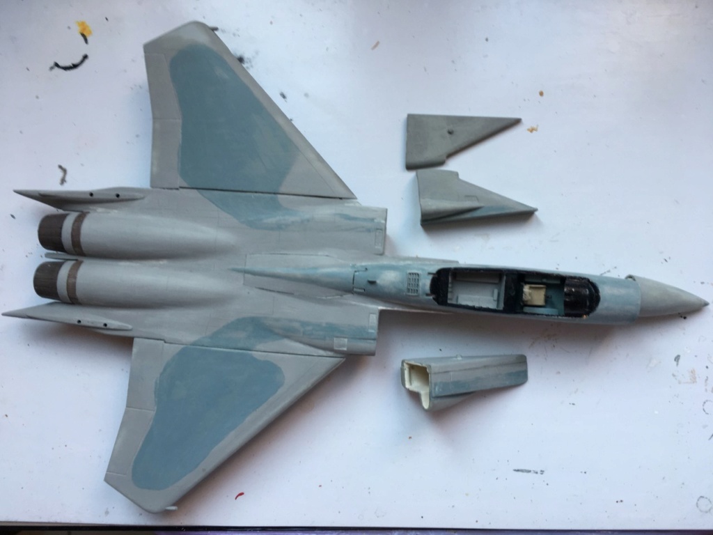  F-15J (1/72 - Hobby Craft) + F-15 (1/72 - Hasegawa) Img_2292