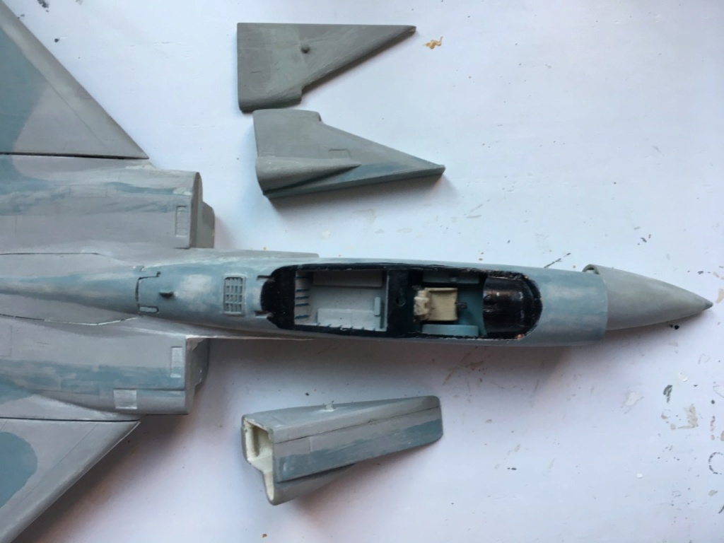  F-15J (1/72 - Hobby Craft) + F-15 (1/72 - Hasegawa) Img_2295